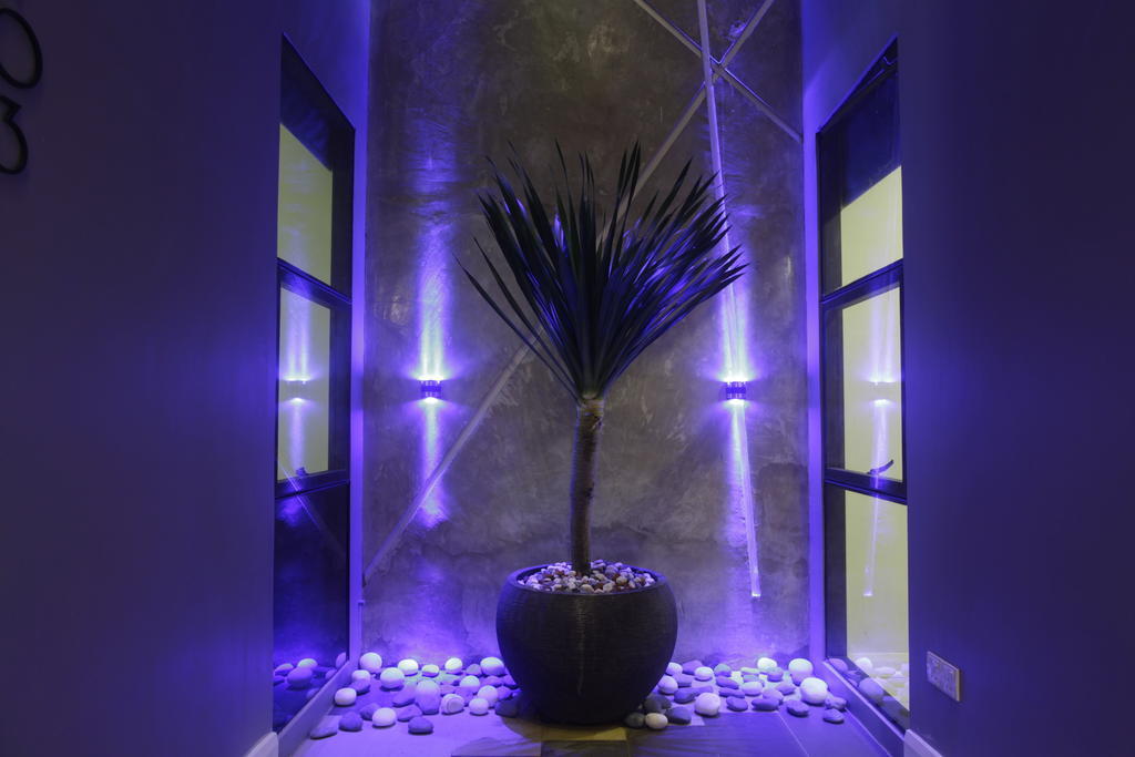 I Am Jazz Hotel Johor Bahru Eksteriør bilde